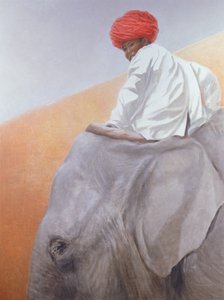 大象男孩